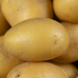 Potato